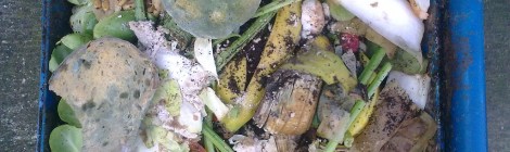 Food Waste